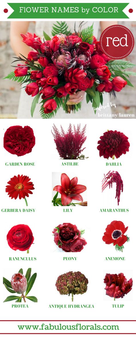 Wedding Trends 2018 ! How To DIY Wedding Flowers! 2018 Red Wedding Flower Trends. Easy DIY Tutorials and How to Tips & Tricks! #diywedding #diyflowers #howtomakeabouquet www.howtodiyweddingflowers.com Flower Name Trend, Cardinal Tattoo, Wedding Flower Trends, Diy Wedding Video, 2017 Trends, Red Wedding Flowers, Different Types Of Flowers, Making A Bouquet, Flower Guide