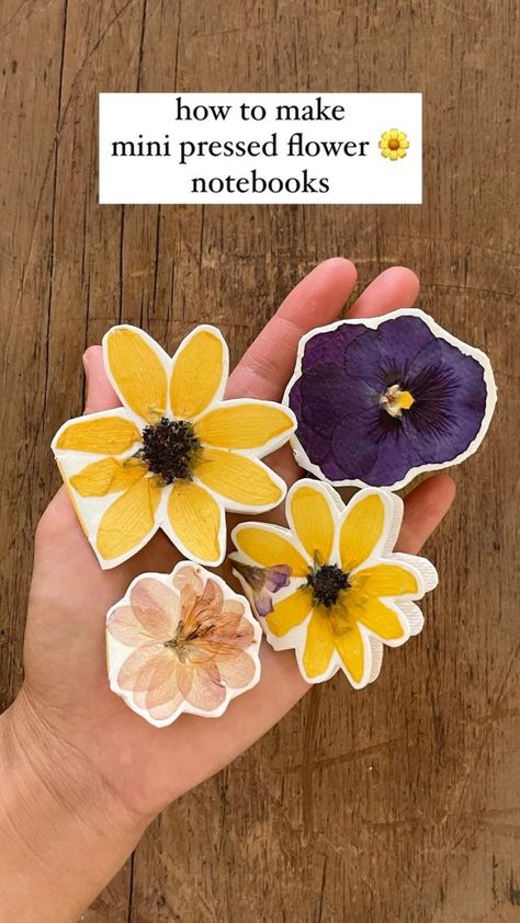 good Beans Seeds, How To Make Beans, Preserve Flowers, Fairy Wings Costume, Cardboard Shipping Boxes, Flower Notebook, Easy Diy Costumes, Garden Workshops, Cardboard Frame