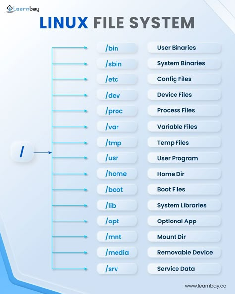 Linux File System, Linux Aesthetic, Computer Networking Basics, Linux Programming, File Extensions, Tree With Branches, Linux Commands, Networking Basics, Basic Computer Programming