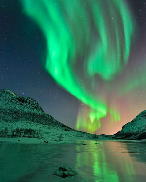 Aurora Borealis Webcam | Image: Thilo Bubek took this picture from Tromsø, Norway (Click on ... Aurora Borealis Finland, Aurora Borealis From Space, Northern Lights Norway Photographs, Magical Sky, Aurora Finland Northern Lights, Wild Weather, Aurora Borealis Northern Lights, Sky Full Of Stars, Amazing Nature Photos