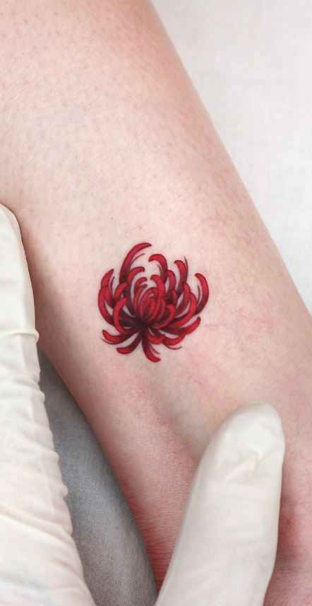 Chrysanthemum Small Tattoo, Chrysanthemum Wrist Tattoo, Chrysanthemum And Scorpio Tattoo, Small Chrysanthemum Flower Tattoo, Spider Chrysanthemum Tattoo, Pretty Chrysanthemum Tattoo, Chrysthemum Flower Tattoo, Crysentimum Tattoo, Tiny Chrysanthemum Tattoo