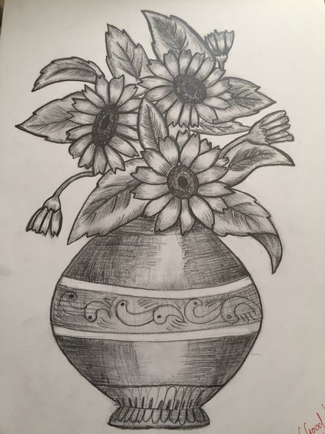 Flower Vase Sketch Pencil, Flower Pencil Shading, Flower Vase Drawing Pencil, Flower Vase Sketch, Flower Vase Drawing, Arts Portfolio, Football Paintings, Fruit Art Drawings, Pen Sketches