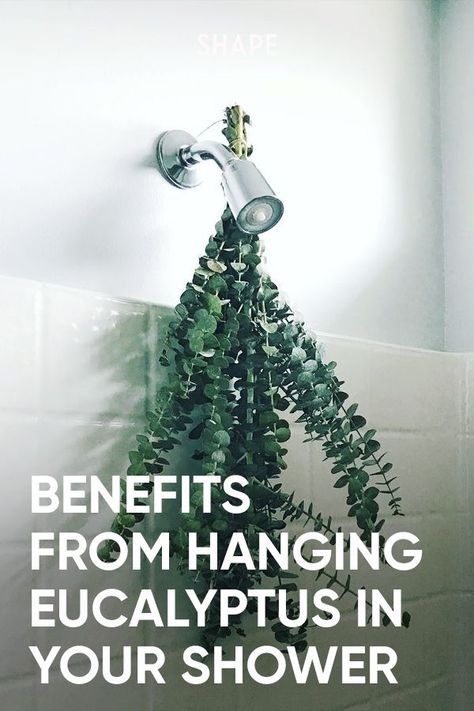 Eucalyptus In The Shower, Hanging Eucalyptus, Types Of Eucalyptus, Creative Backyard, Spa Shower, Midsize Style, Yard Work, The Shower, Backyard Ideas