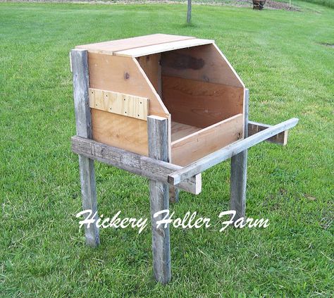 Hickery Holler Farm: Turkey Nesting Boxes Turkey Coop Ideas, Turkey Coop, Turkey Roost, Raising Turkeys, Turkey Farm, Turkey Bird, Chicken Tractors, Coop Ideas, Coop Plans