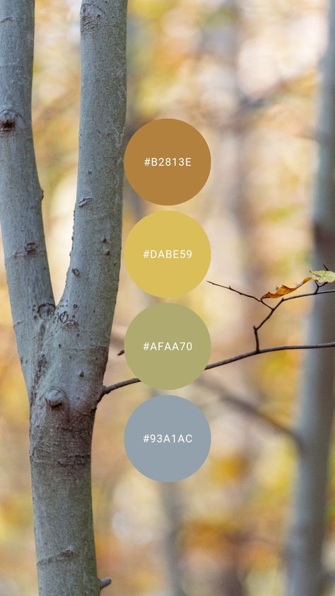 Gentle fall tints to bring in the season with a little less intensity. Try it in the kitchen, bathroom, home office, or guest room. #colourpalette #colorpalette #autumn #fall #pastel #light Light Pastel Color Palette, Pastel Autumn Color Palette, Natural Colour Scheme, Photoshop Rendering, Hex Color Palette, Color Fields, House Color Schemes, Nature Color Palette, Color Lab