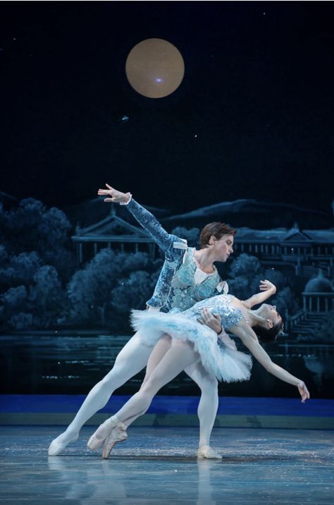 Very dramtic moment in this dance. The woman's grace is highlighted, while the man's strength and stability are highlighted, reinforcing the expectations of men and women in ballet. Ballet Couple, Ballerina Aesthetic, Ideas Cuarto, Ballet Dance Photography, Swan Lake Ballet, Ballet Aesthetic, Ballerina Project, Opera Ballet, Paris Opera Ballet