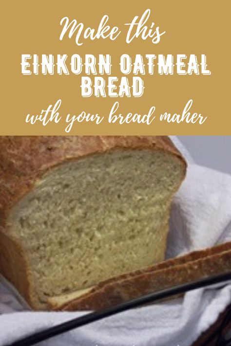 This Einkorn Oatmeal Bread can be made completely in the bread maker or use the bread machine to mix the dough and bake it in a conventional oven.  #einkornoatmealbread #oatmealbreadmachinebread Bread Machine Einkorn Bread, Einkorn Flour Bread Machine Recipes, Oat Flour Bread Machine Recipes, Oatmeal Bread Machine Recipes, Spelt Flour Bread Machine Recipe, Einkorn Bread Machine Recipe, Milling Grains, Gluten Free Oat Bread, Bread Maker Bread