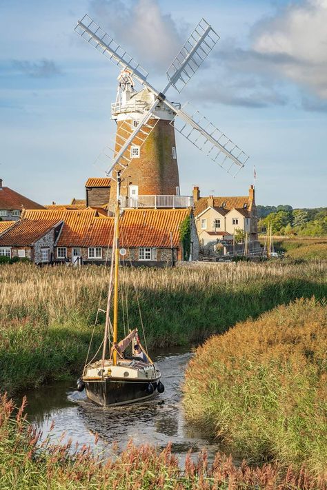 Netherlands Windmills, British Aesthetic, English Aesthetic, Ridgeback Dog, Rhodesian Ridgeback Dog, Pretty Scenery, Water Wheels, British Village, Amsterdam Houses