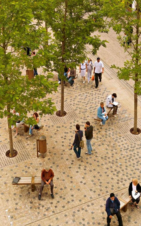 Graeme Massie Architects · Bonn Square, Oxford · Divisare Photoshop Tree, Pavement Design, Plaza Design, Paving Pattern, Henning Larsen, Landscape Design Drawings, Paving Design, Urban Landscape Design, Public Space Design