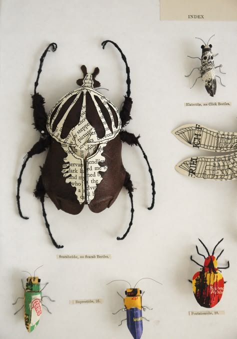 Goliath beetle, made using recycled leather, book pages and wire. Created by artist Kate Kato - aka Kasasagi ( www.kasasagidesign.com ) Insect Display, Folding Origami, Bug Art, Creepy Crawlies, Insect Art, Bugs And Insects, Recycled Art, Kirigami, Paper Sculpture