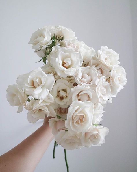 White Majolika Spray Rose, White Majolica Spray Roses, Bleached Flowers, Elopement Venues, Flower Recipes, Flower Bride, Wedding Rose, Wedding Invitation Card Design, Venue Decor