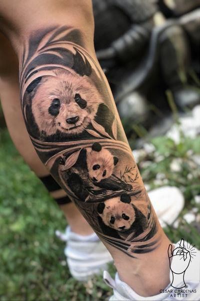 Panda Leg Tattoo, Panda Japanese Tattoo, Realistic Panda Tattoo, Japanese Panda Tattoo, Panda Tattoo Men, Animal Pfp Funny, Panda Tattoo Ideas, Panda Tattoo Design, Animal Wallpaper Aesthetic