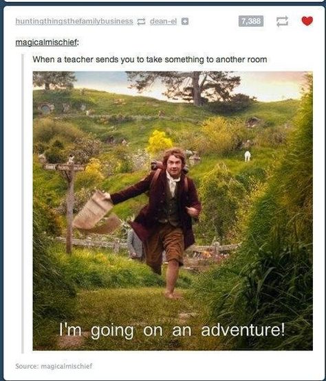 I'm going on an adventure! Haha I love Bilbo Baggins! Drunk Memes, Going On An Adventure, Into The West, Teacher Memes, School Memes, Memes Humor, To Infinity And Beyond, Have A Laugh, School Humor