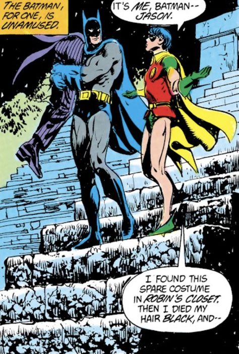 Old Bruce Wayne, Jason And Bruce, Jason Todd And Bruce Wayne, Old Batman, Robin Comic, First Batman, Batgirl And Robin, Robin Comics, Comic Panel