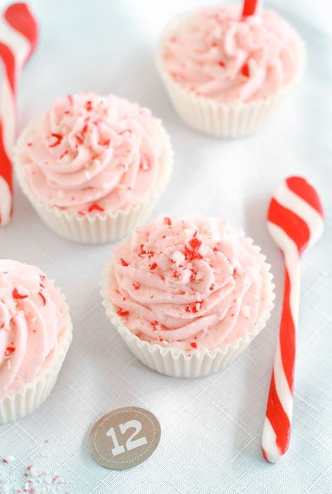 Sprinkle Bakes: Peppermint Mousse Cups Peppermint Mousse, Candy Cane Recipe, Mousse Cups, Peppermint Recipes, Mint Recipes, Mousse Recipes, Peppermint Mocha, Chocolate Peppermint, Christmas Goodies