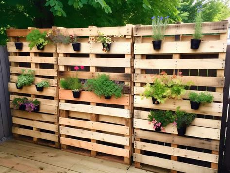 Pallet Privacy Wall, Garden With Pallets, Pallet Garden Ideas Diy, Pallet Garden Ideas, Pallet Garden Walls, Garden Ideas Diy, Vertical Pallet Garden, Diy Privacy Screen, Diy Pallet Wall