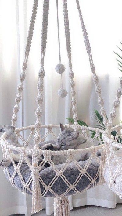 Katt Diy, Macrame Cat Hammock, Diy Cat Bed, Katt Grejer, Kat Diy, Koti Diy, Boho Wand, Art Macramé, Macrame Hammock