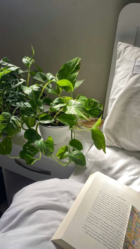 Plants Home, Plant Aesthetic, House Plants Decor, Pretty Plants, Fake Plants, Plant Mom, Green Aesthetic, Aesthetic Room Decor, Plant Lover