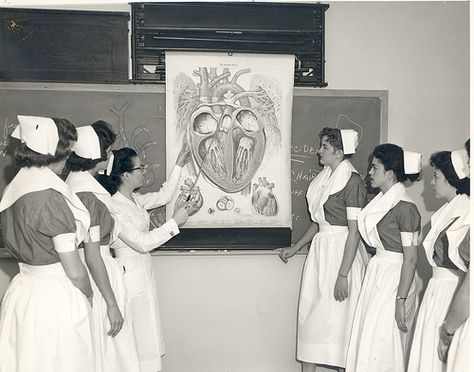 Piedmont Hospital School of Nursing students study a heart chart, c. 1953. Nursing Pics, Army Dreamers, Nursing Caps, History Of Nursing, Vintage Nursing, Nurse Pics, Nurse Teaching, Director Of Nursing, Nursing History