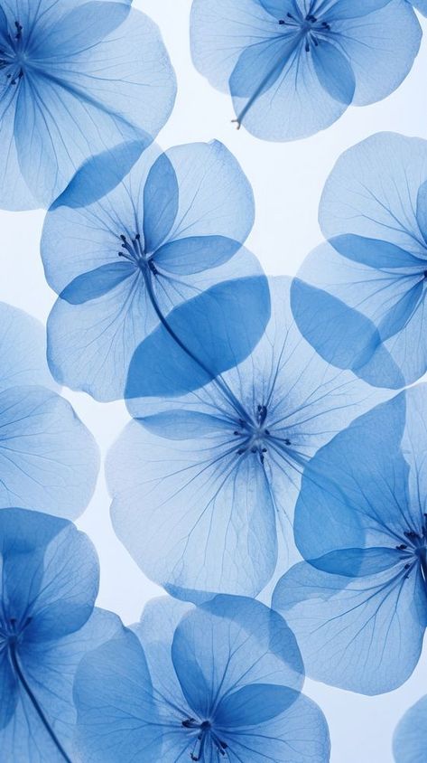 Hydrangea Wallpaper Desktop, Hydrangea Wallpaper, Backgrounds Nature, Blue Hydrangea Flowers, Blue Flower Wallpaper, Vintage Paper Background, Wallpaper Beautiful, Flowers Illustration, Blue Wallpaper Iphone