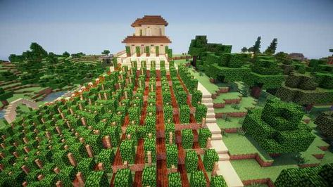 Italian Vineyard - Imgur Italian Village Minecraft, Minecraft Vineyard, Minecraft Field, Minecraft Landscaping, Villa Minecraft, Minecraft Mountain, Italian Vineyard, Minecraft Building Guide, Minecraft Images