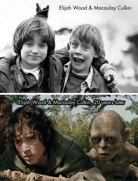 Frodo, Gollum / Elijah Wood, Macaulay Culkin Lotr Funny, Silly Funny, Macaulay Culkin, Elijah Wood, Legolas, The Rings, Lord Of The Rings, Tolkien, Bones Funny