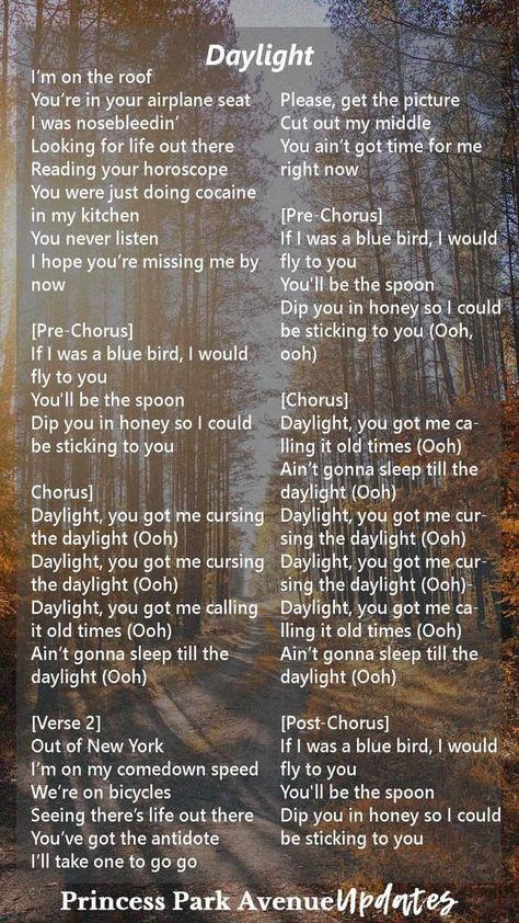 Daylight Lyrics, Harry's House, Your Horoscope, Blue Bird, One Direction, Harry Styles, Songs, Music