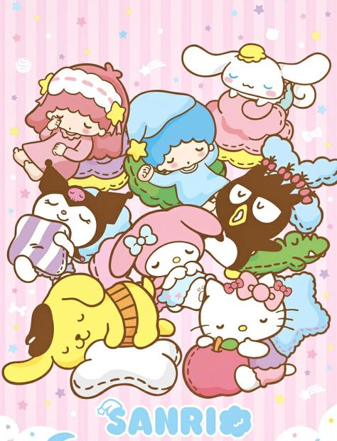 Sanrio Sleepover, All The Sanrio Characters, Sanrio Poster, Hello Kitty Decorations, Carnival Birthday Party Theme, Hello Kitty Characters, Hello Kitty Art, Sanrio Wallpaper, Funny Phone Wallpaper