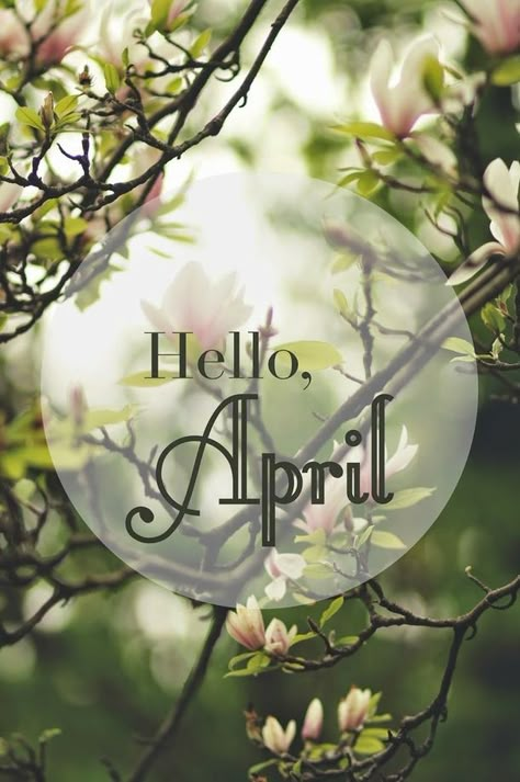 75 Hello April Quotes & Sayings April Images, Neuer Monat, April Quotes, Months And Seasons, Hello April, Seasons Months, Season Quotes, Days And Months, Blue Sky Background