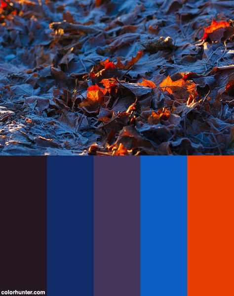 Fire & Ice Color Scheme from colorhunter.com Fire Color Scheme, Fire And Ice Color Palette, Ice Color Palette, Fire Color Palette, Wildfire Druid, Colors Moodboard, Colour Pallettes, Bohemian Punk, Pallet Color