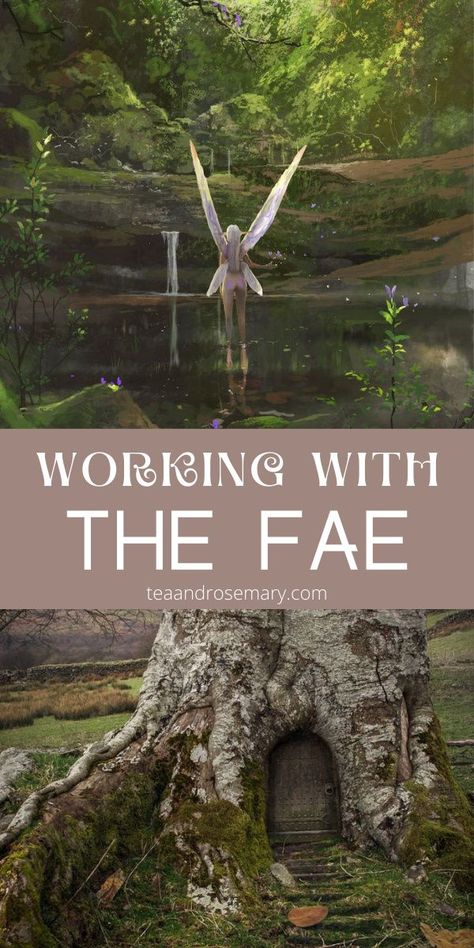 Fae Magick Spells, Fairy Offering Ideas, How To Work With The Fae, The Fae Folk, Fae Abilities, Working With Angels, Rules Of The Fae, Dancing Faeries, Fae Lore Tumblr