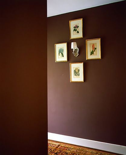 looks like our current wall color--gold is a nice accent Chocolate Brown Walls, Hallway Colour Schemes, Chocolate Walls, Dark Brown Walls, Brown Paint Colors, Hallway Walls, Hallway Colours, Best Color Schemes, Brown Rooms