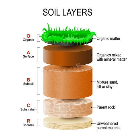 Biological Weathering, Soil Profile, Soil Activities, Chemical Weathering, Diagram Illustration, Cells Worksheet, Architecture Design Presentation, Weathering And Erosion, Soil Texture