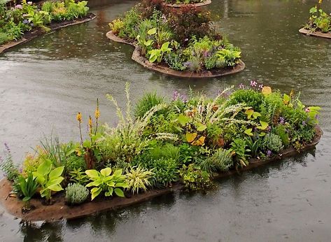 Floating Wetland, Bog Filter, Floating Gardens, Filter Ideas, Floating Islands, Floating Garden, Aquatic Ecosystem, Bodies Of Water, Sea Can