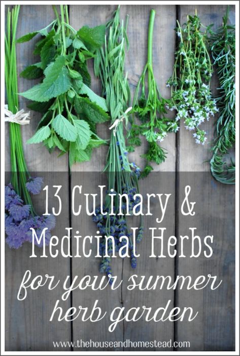 13 Culinary and Medicinal Herbs For Your Garden | The House & Homestead Home Herb Garden, Medicinal Herbs Garden, Herb Garden Design, Culinary Herbs, Long History, Grow Your Own Food, Easy Garden, Growing Herbs, Planting Herbs