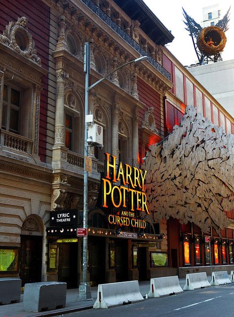 The Cursed Child, Kids Theater, Cursed Child, Musical Theatre, Melbourne, Broadway, Vision Board, Harry Potter, Musical