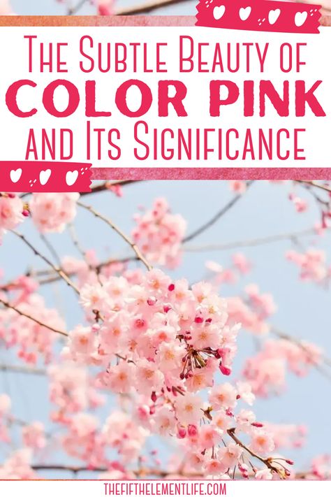 Color Pink And It’s Meaning Pink Color Personality, Pink Symbolism, Pink Color Meaning, Pink Color Symbolism, Pink Butterfly Meaning, Pink Meaning, Gender Norms, Color Meanings, Light Pink Color