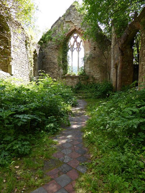 Blue Pelican Tranquility Aesthetic, Ireland Pictures, Old Abandoned Buildings, Beautiful Ruins, Ancient Forest, Castle Ruins, Fantasy Places, Abandoned Buildings, Nature Aesthetic