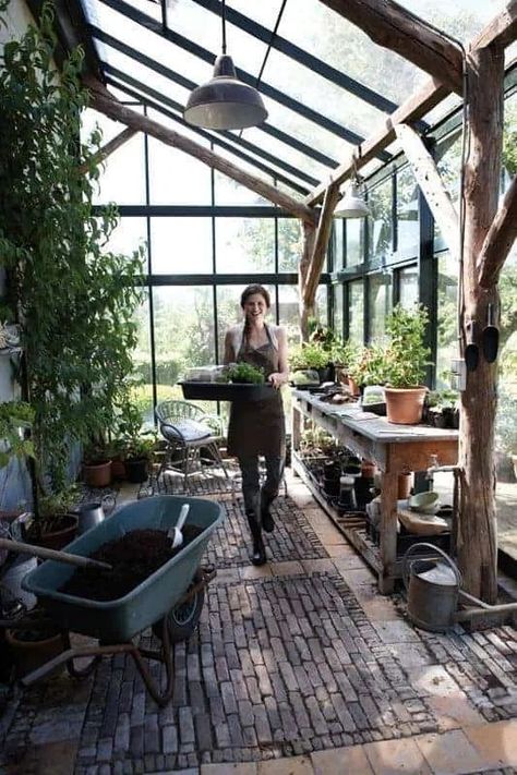 Lean To Greenhouse Kits, Serre Diy, Shed Inspiration, Greenhouse Benches, Bohemian Backyard, Pergola Diy, Best Greenhouse, Lean To Greenhouse, Home Greenhouse