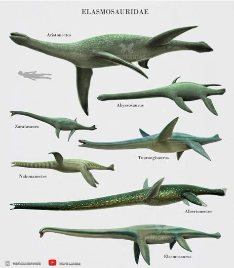 Extinct Sea Creatures, Prehistoric Marine Life, Underwater Dinosaurs, Water Dinosaurs, Aquatic Dinosaurs, Prehistoric Sea Creatures, Sea Dinosaurs, Prehistoric Wildlife, Prehistoric Dinosaurs