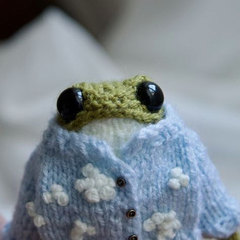 Froggy Clothes, Frog Jacket, Frog Sewing, Frog Knitting, Knitted Frog, Frog Doll, Frog Pattern, Frog Frog, Cloudy Weather