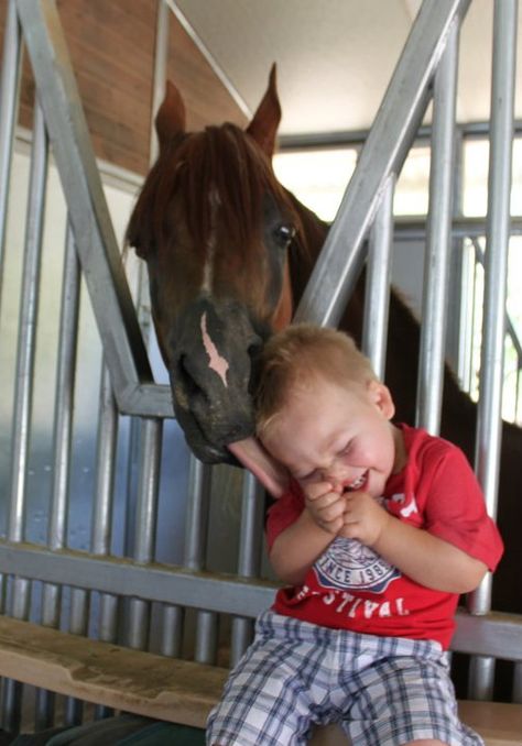 Horse Love, A Horse, 귀여운 동물, Beautiful Horses, Animals Friends, Beautiful Creatures, Animals For Kids, Animals Beautiful, Animals And Pets