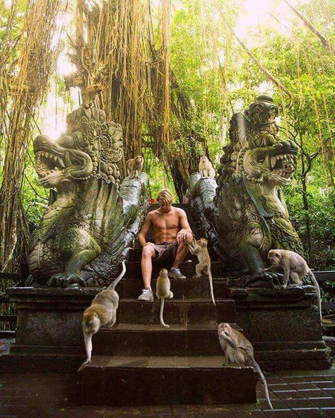 Monkey Forest Bali, Life Is A Trip, Ubud Monkey Forest, Sacred Forest, Love Story Photography, Bali Outfits, Bali Culture, Story Photography, Bali Holidays