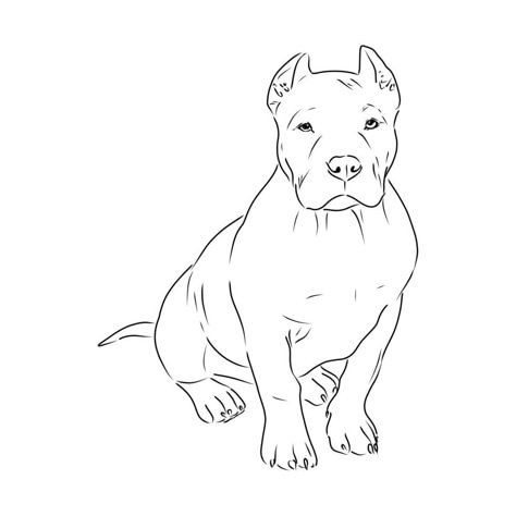 How To Draw A Staffy Dog, American Bully Drawing, Pitbull Dog Drawing, Pitbull Art Drawing, Pit Bull Tattoo Ideas, Pitbull Sketch, Pit Bull Tattoo, Pit Bull Drawing, Pitbull Silhouette