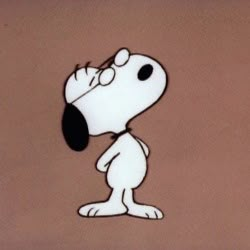 Snoopy Aesthetic, Snoopy Images, Snoopy Wallpaper, Snoopy Pictures, Snoop Dog, Snoopy Friends, Joe Cool, Snoopy And Friends, Snoopy Love