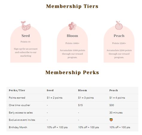 Customer Rewards Program, Membership Tiers Design, Membership Program Design, Loyalty Program Ideas, Loyalty Program Email, Emailer Design, Loyalty Program Design, Loyalty Club, Loyalty Rewards Program