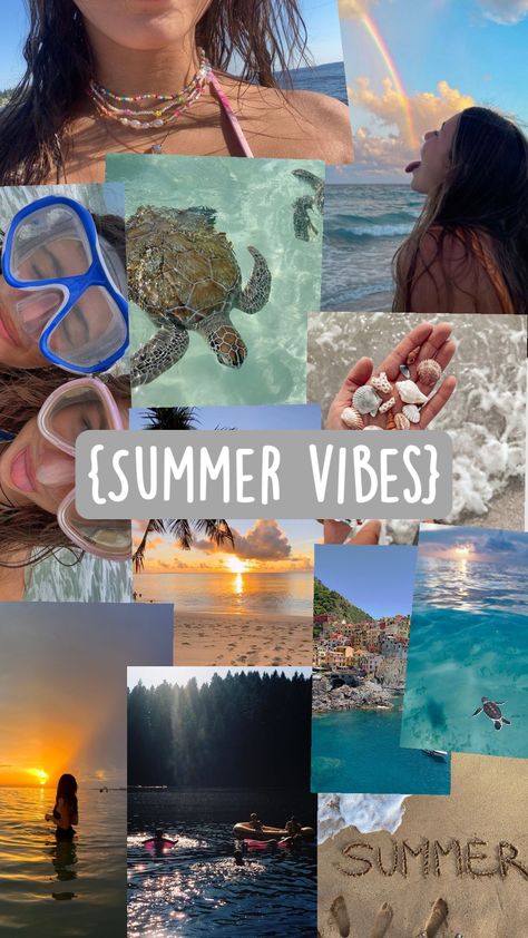 summer vibes🤍🐢🏄🏽‍♀️ Summer Sunset, Summer Season, Summer Vibes, Holiday Season, Holidays, Funny, Pins, Quick Saves