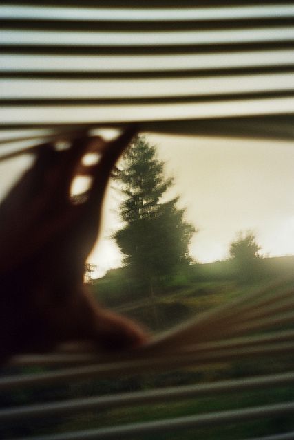 Terrence Loves You, Through A Window, Fotografi Vintage, Into The Wild, The Window, Pretty Pictures, Film Photography, Aesthetic Pictures, Photography Inspiration