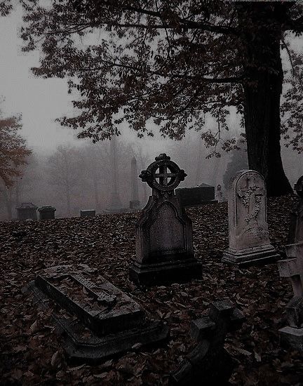 Belladonna Adalyn Grace, Signa Farrow, Adalyn Grace, Gothic Landscape, Cemeteries Photography, Grave Yard, Victorian Aesthetic, Old Cemeteries, Gothic Romance