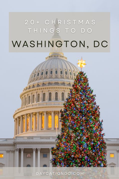 Celebrating the holidays in Washington, DC? Check out Christmas trees, markets, light shows, and more! Click the link for the full schedule. Washington Dc Christmas Things To Do In, Washington Dc At Christmas, Washington Dc Aesthetic Winter, Washington Dc December, Christmas In Washington Dc, Washington Dc In December, Christmas In Dc, Washington Dc Winter, Washington Dc Bucket List